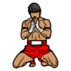 thai fighter